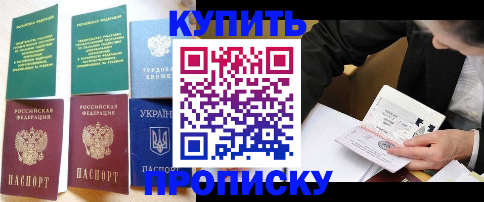 прописка для школы в Тереке